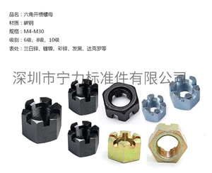 六角開(kāi)槽螺母